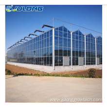 Greenhouse with hydroponics system vegetbales